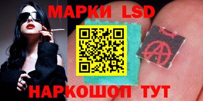 шишки Изобильный