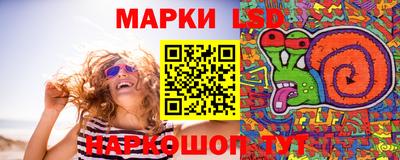 шишки Изобильный