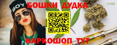 шишки Изобильный