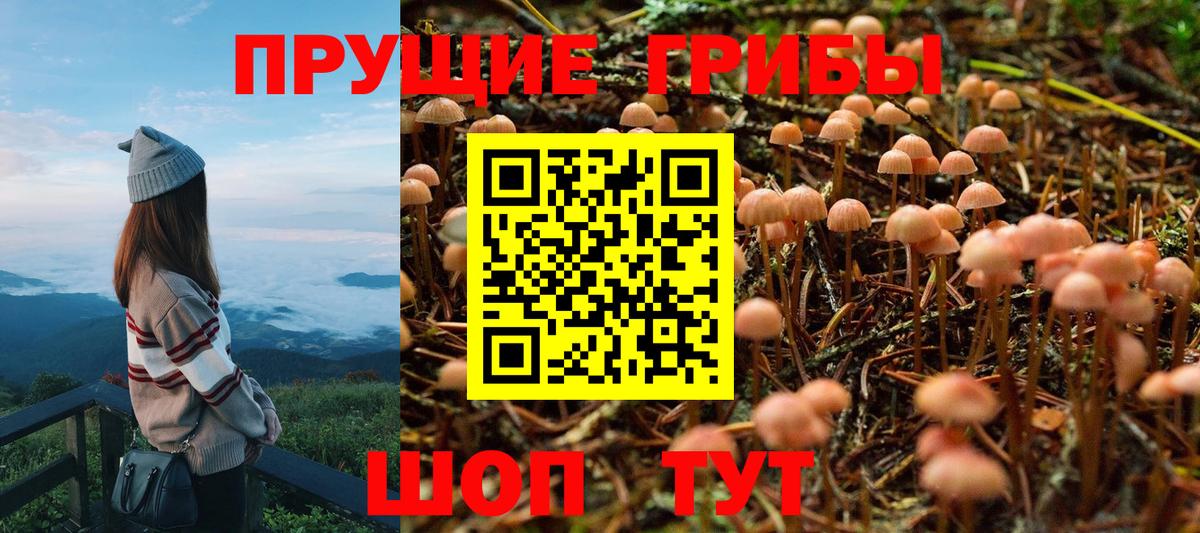 Псилоцибиновые грибы мухоморы Кубинка