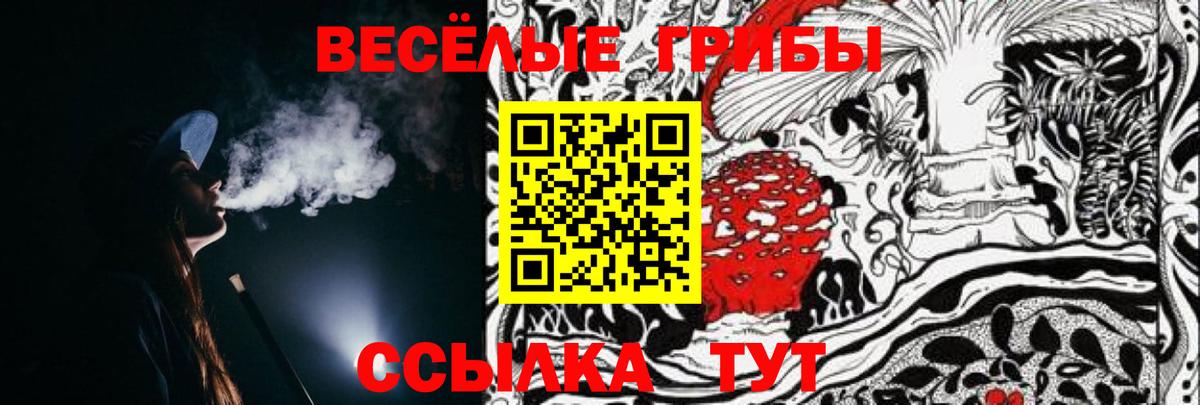 Галлюциногенные грибы Magic Shrooms  где купить наркоту  Псилоцибиновые грибы прущие грибы  Кубинка  Вход с VPN 